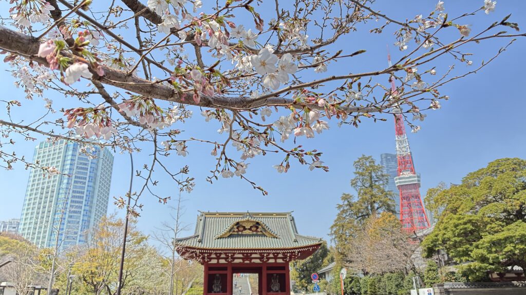 共同親権、今日からスタート